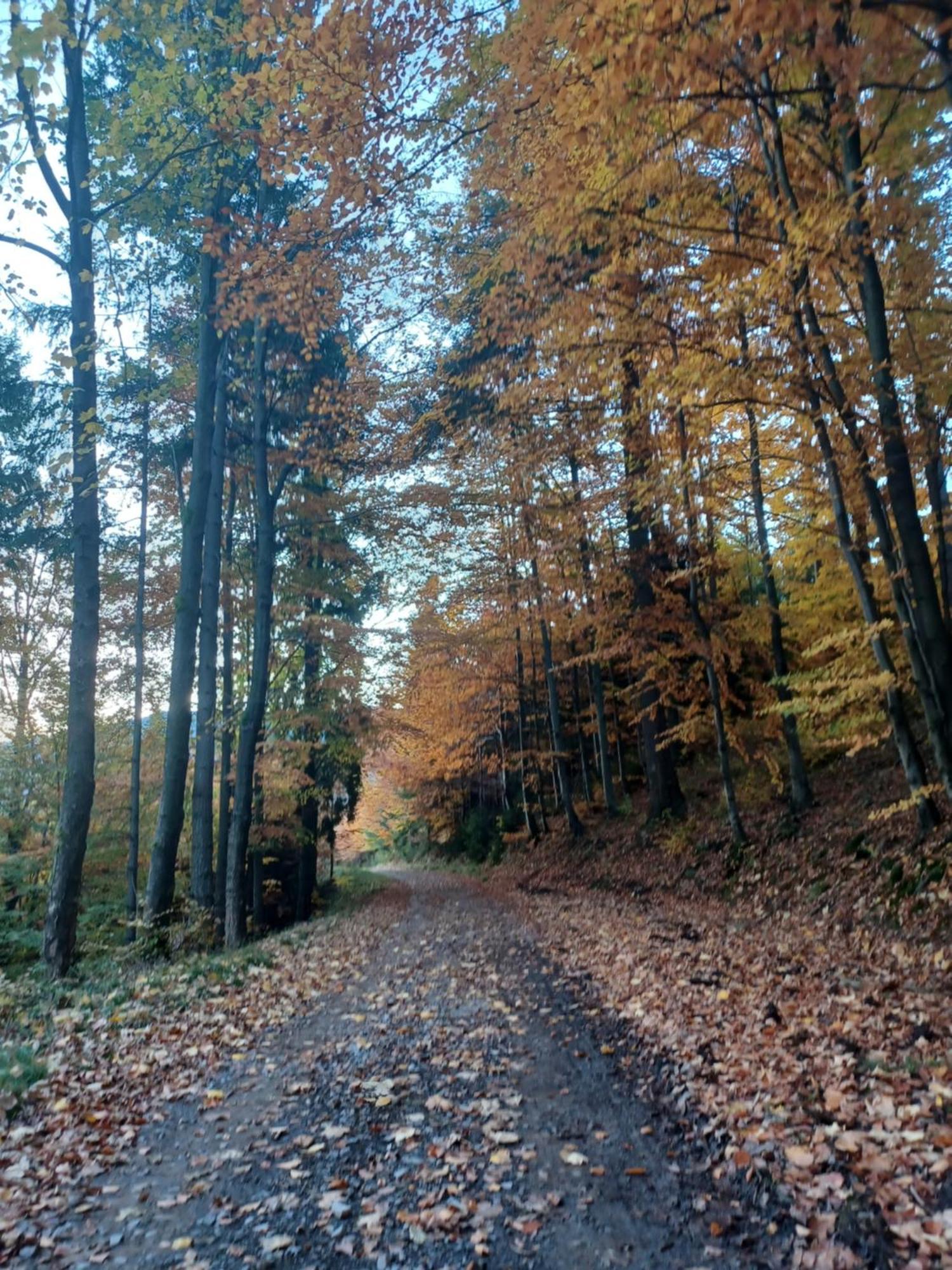 Domek Na Skalce Zabnica Buitenkant foto